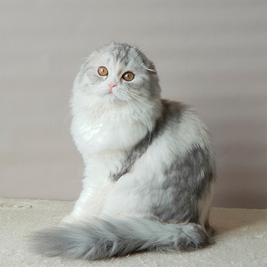 luna 3