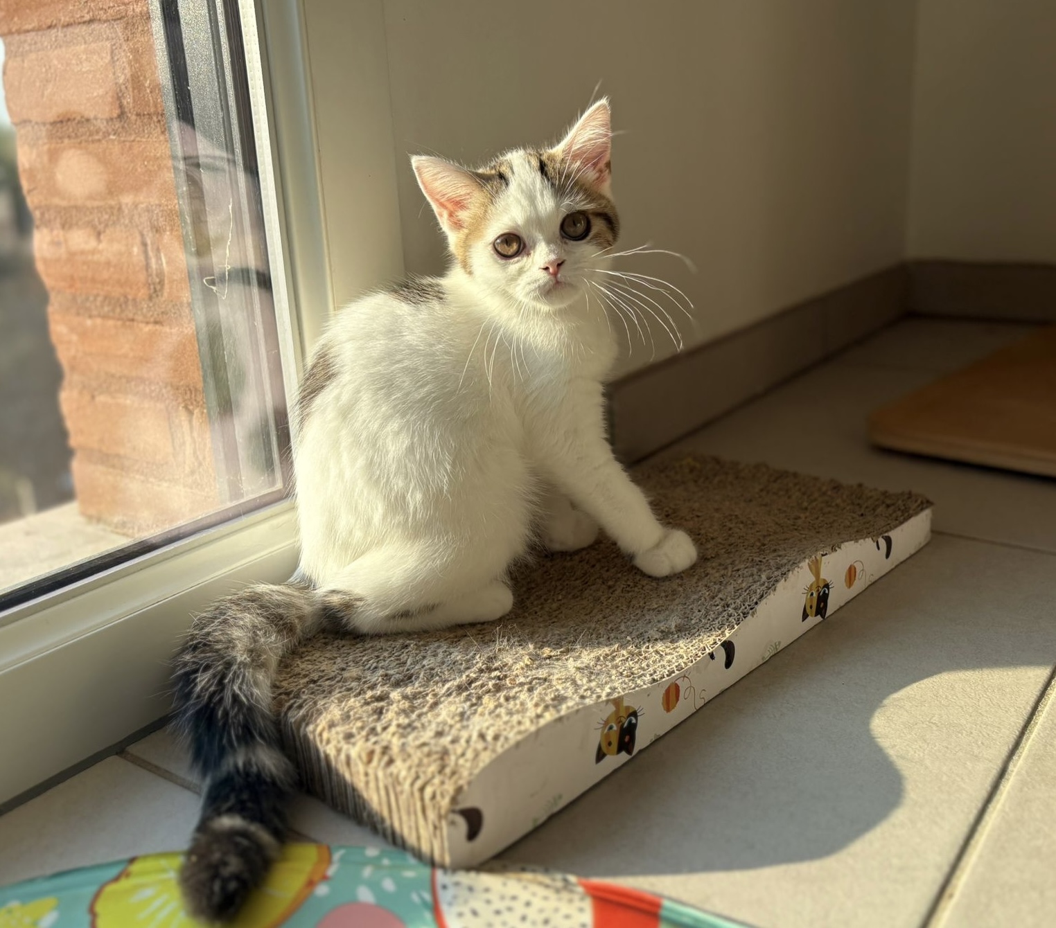 1141e95d 7b98 40a0 9003 61c6700da5bf