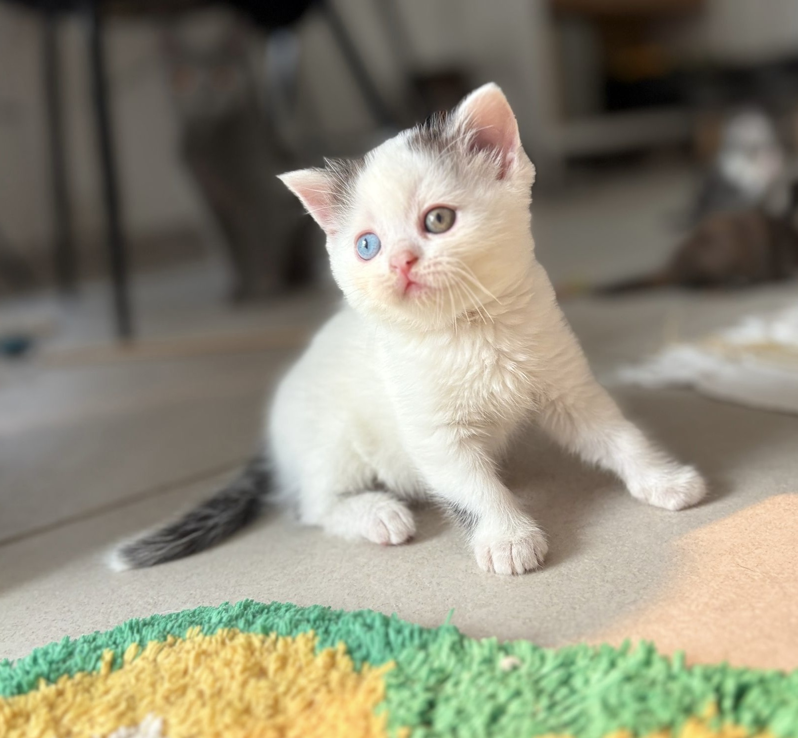 2f6576b0 7fc2 47e4 a84f 85b9a9264716