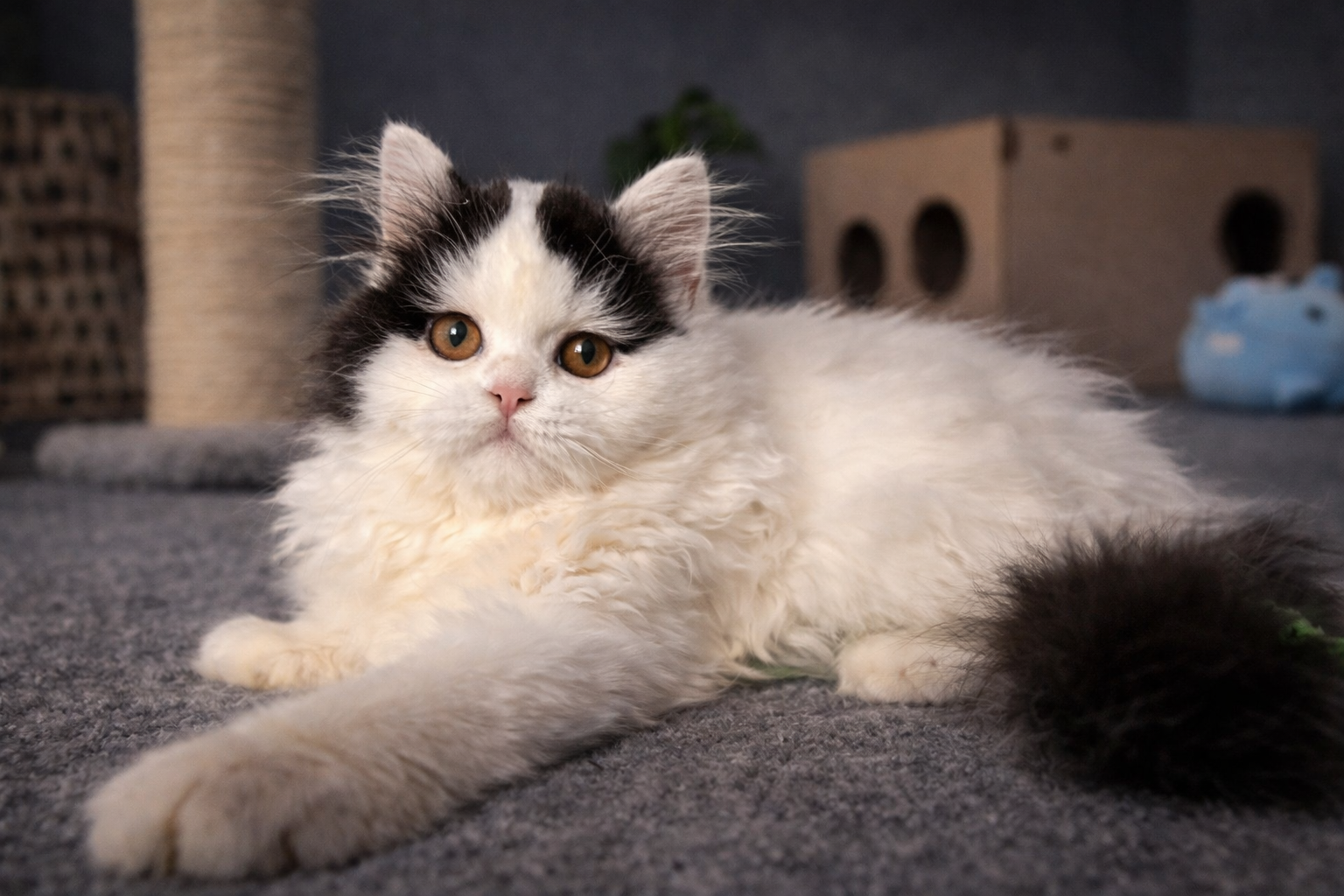 3D476441 A948 433D 8BED E29166F18974