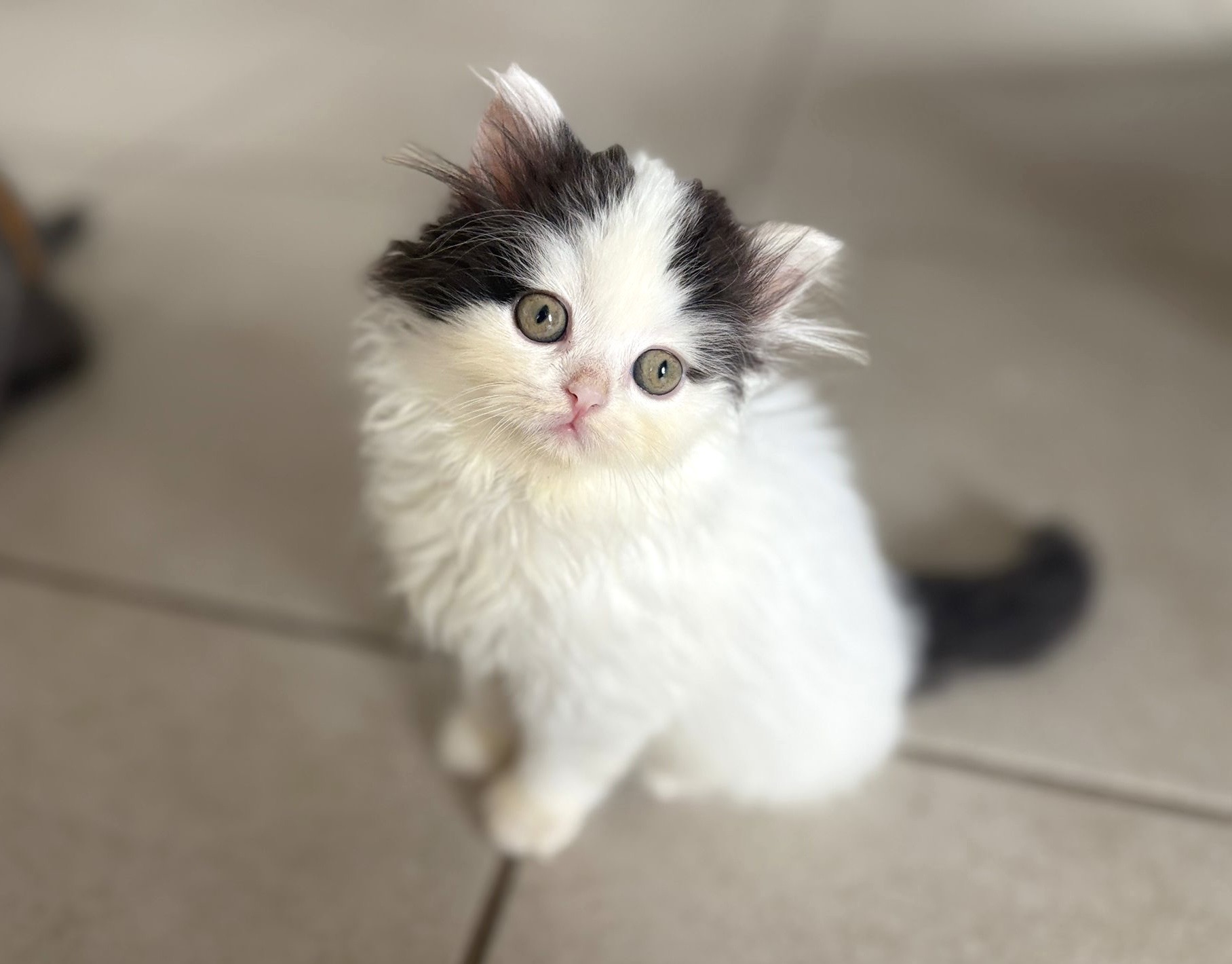 85f29b9d 79c3 4d3b 978d 9b9664a3a4fb