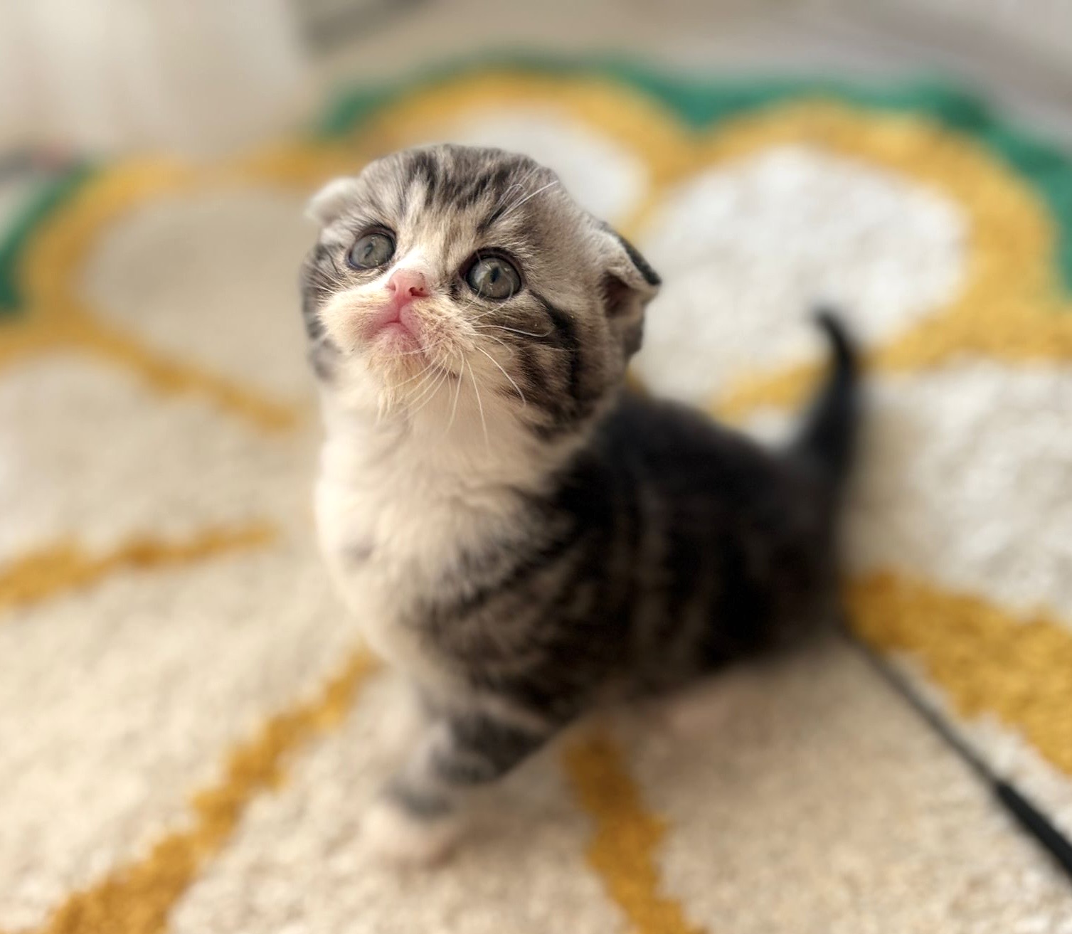 40efdddc d980 48a5 a86d f261825637b6