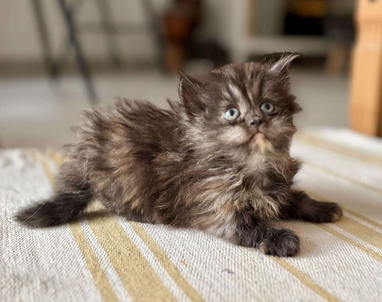 1ae52d3b 310d 4b7c bc5f ae5d3f81aae2